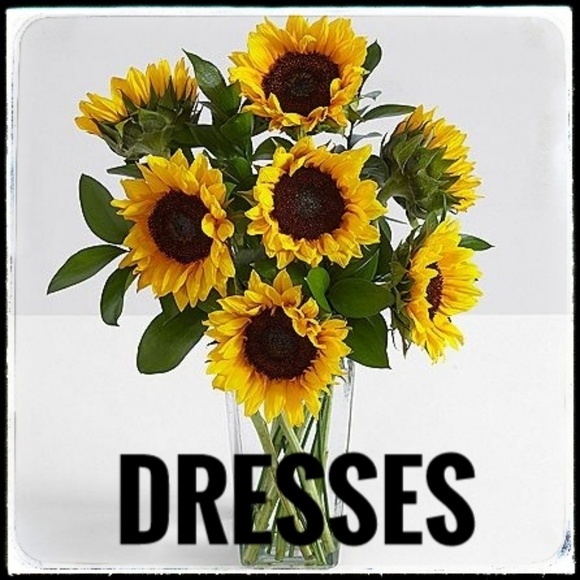 Bundle & Save OR Make an Offer! - Picture 1 of 1